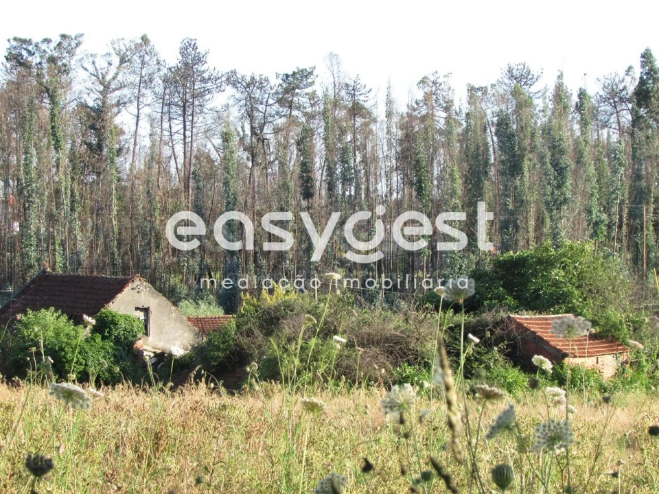 Terreno Misto para Venda em Requeixo, Nossa Senhora de Fátima e Nariz Foto 3