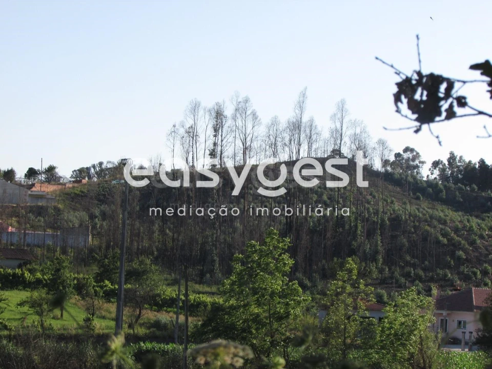 Terreno Misto para Venda em Requeixo, Nossa Senhora de Fátima e Nariz Foto 4