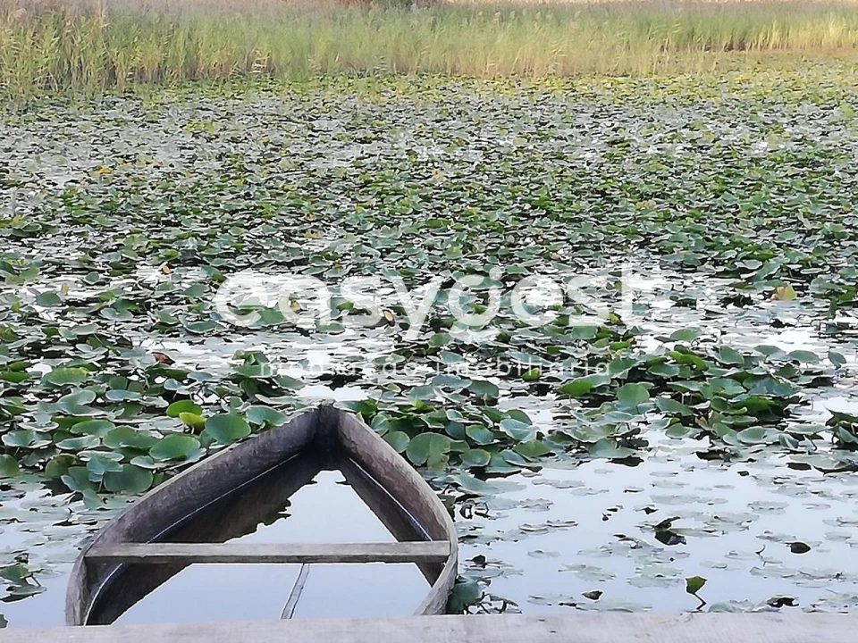 Terreno Misto para Venda em Requeixo, Nossa Senhora de Fátima e Nariz Foto 6