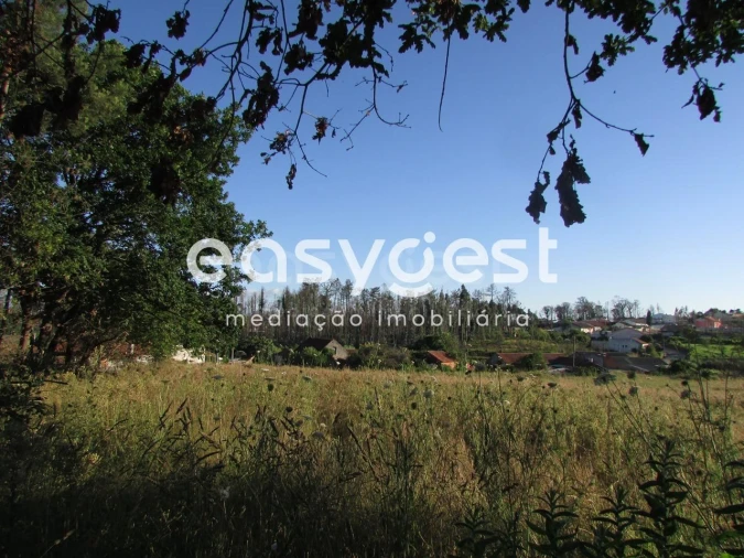 Terreno Misto para Venda em Requeixo, Nossa Senhora de Fátima e Nariz