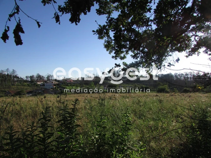 Terreno Misto para Venda em Requeixo, Nossa Senhora de Fátima e Nariz Foto 2