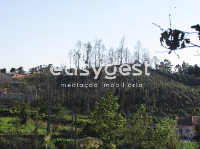 Terreno Misto para Venda em Requeixo, Nossa Senhora de Fátima e Nariz Foto 4