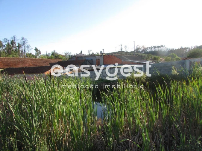 Terreno Misto para Venda em Requeixo, Nossa Senhora de Fátima e Nariz Foto 5