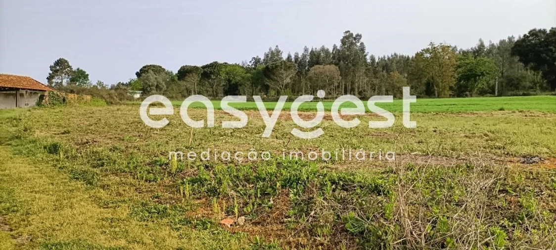 Terreno Misto para Venda em Requeixo, Nossa Senhora de Fátima e Nariz Foto 9