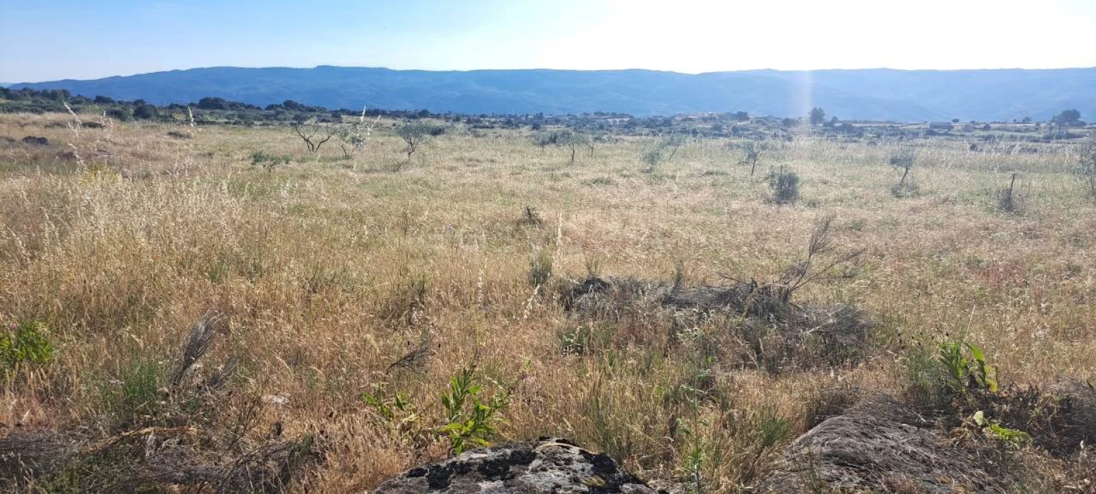 Terreno para Venda em Adeganha e Cardanha Foto 5