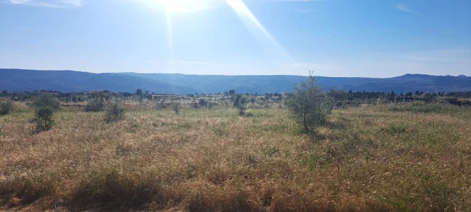 Terreno para Venda em Adeganha e Cardanha Foto 6