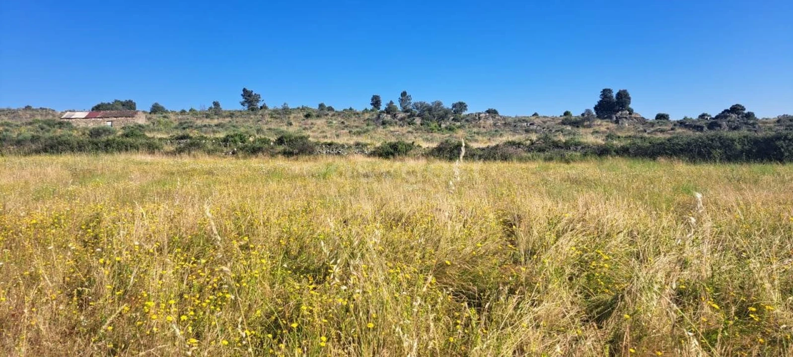 Terreno para Venda em Adeganha e Cardanha Foto 12