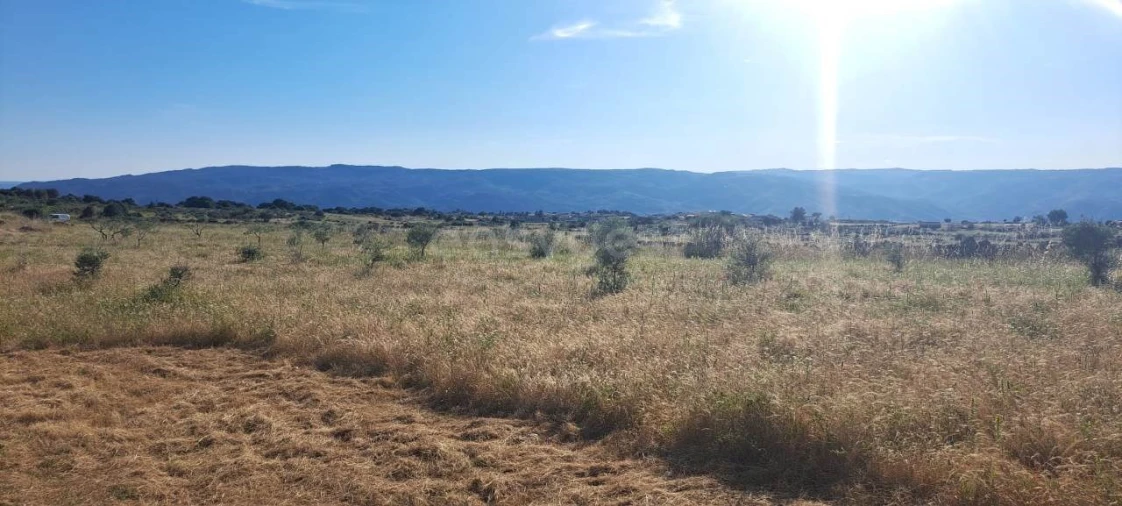 Terreno para Venda em Adeganha e Cardanha Foto 7