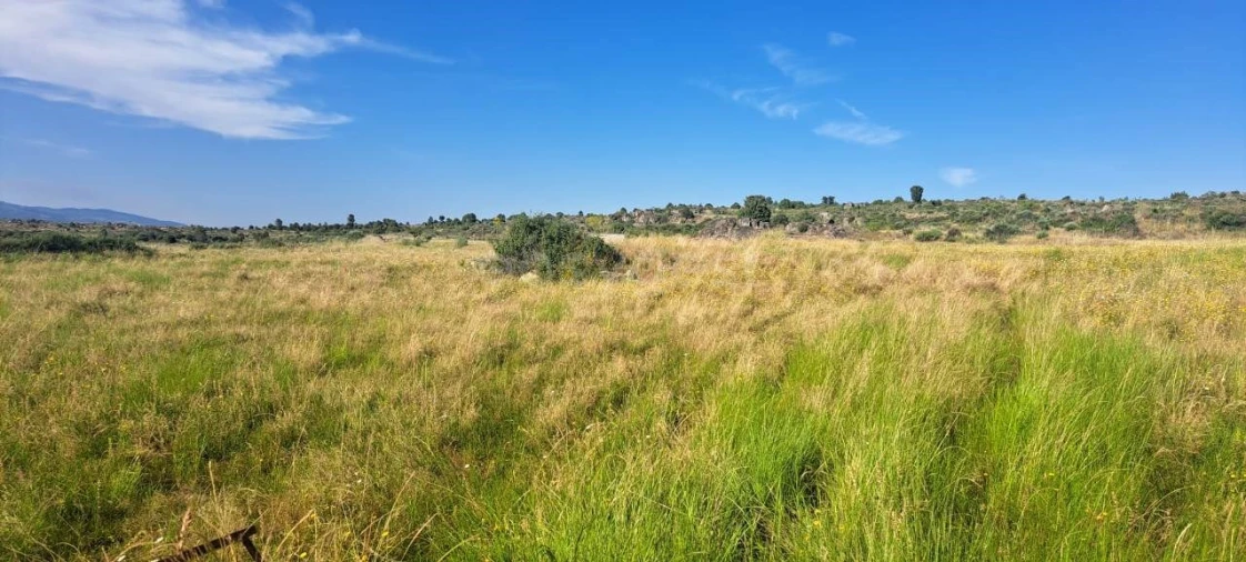 Terreno para Venda em Adeganha e Cardanha Foto 8