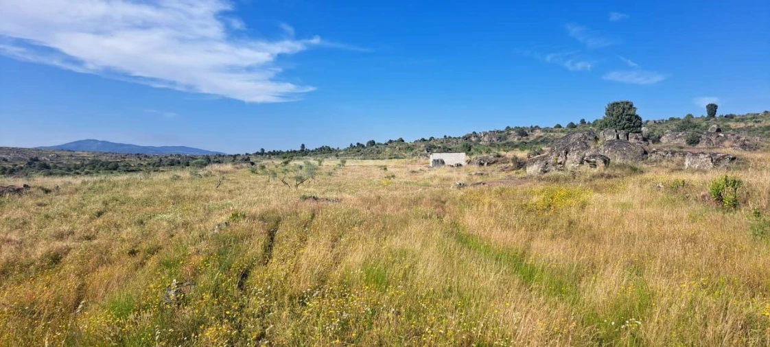 Terreno para Venda em Adeganha e Cardanha Foto 11
