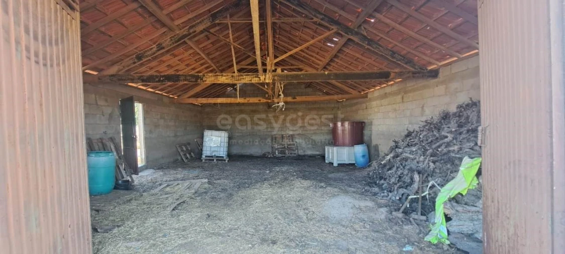 Terreno para Venda em Adeganha e Cardanha Foto 5