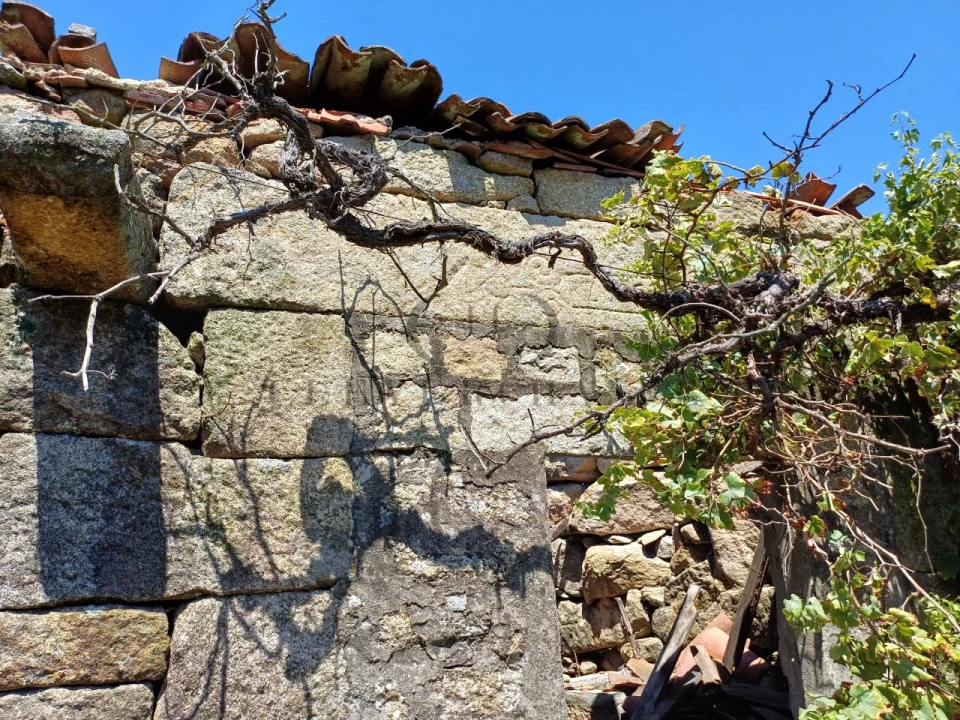 Terreno para Venda em Bem Viver Foto 5