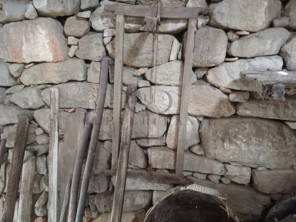 Terreno para Venda em Bem Viver Foto 8