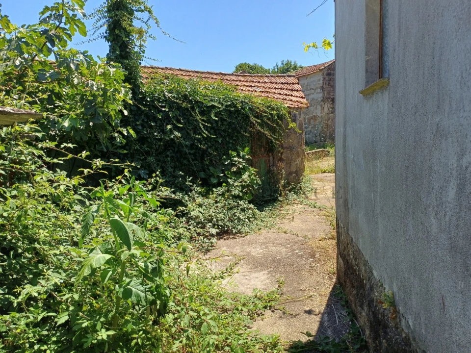 Terreno para Venda em Bem Viver Foto 11