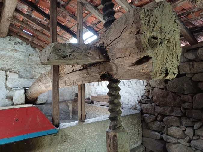 Terreno para Venda em Bem Viver Foto 6