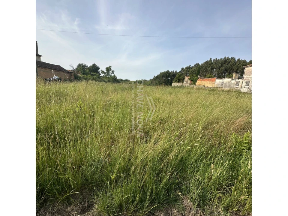 Terreno P/ Prédio para Venda em Sangalhos Foto 2