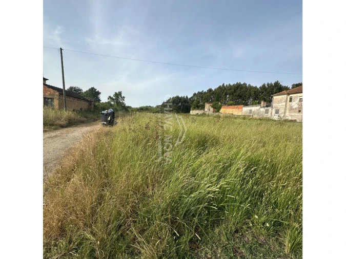 Terreno P/ Prédio para Venda em Sangalhos Foto 3