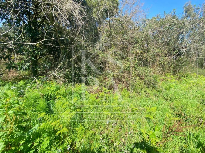 Terreno para Venda em Rio Tinto Foto 18