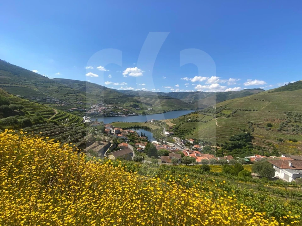 Quinta T6 para Venda em Galafura e Covelinhas Foto 4