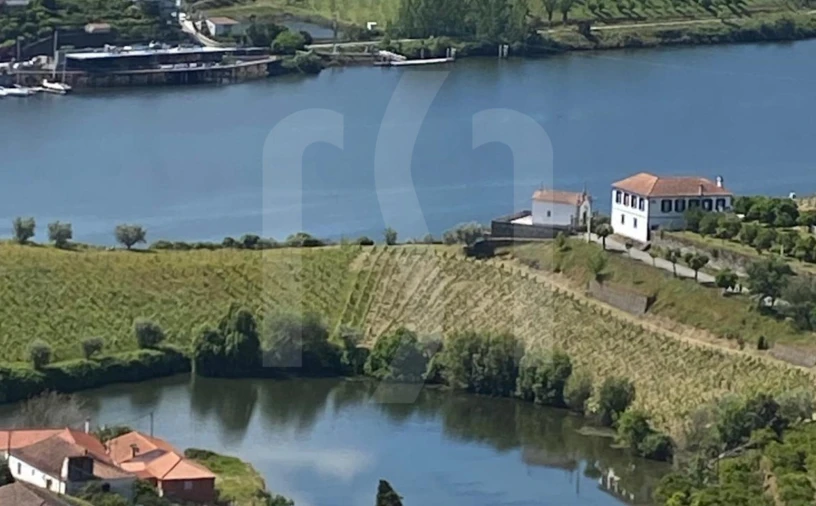 Quinta T6 para Venda em Galafura e Covelinhas Foto 1