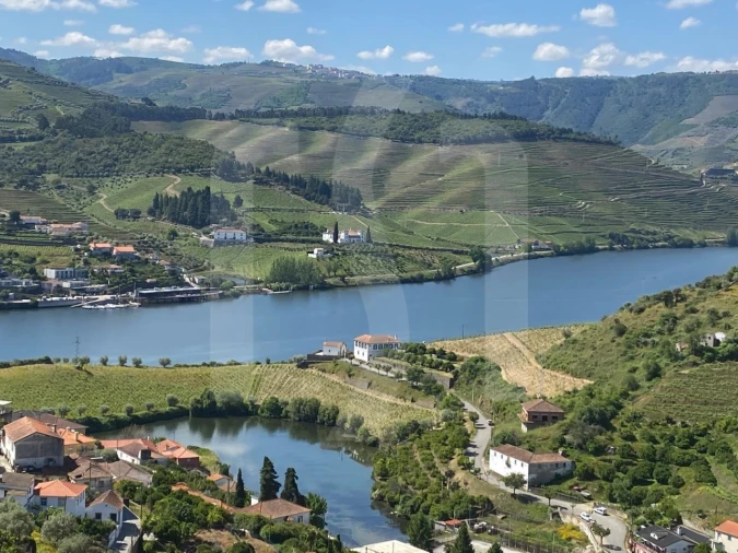 Quinta T6 para Venda em Galafura e Covelinhas Foto 2
