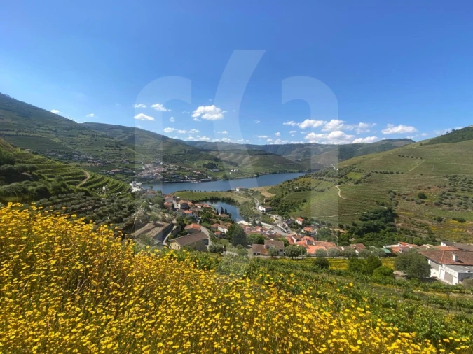 Quinta T6 para Venda em Galafura e Covelinhas Foto 4