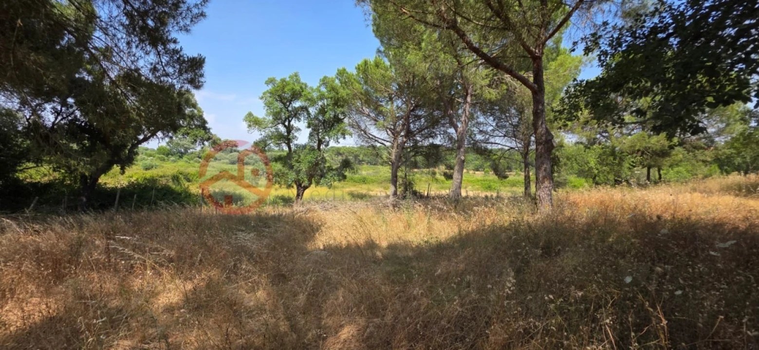 Quinta para Venda em Cabrela Foto 4