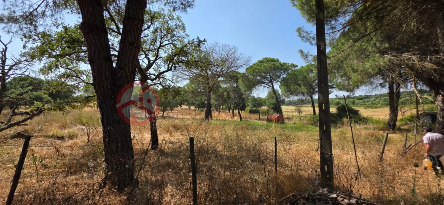 Quinta para Venda em Cabrela Foto 5