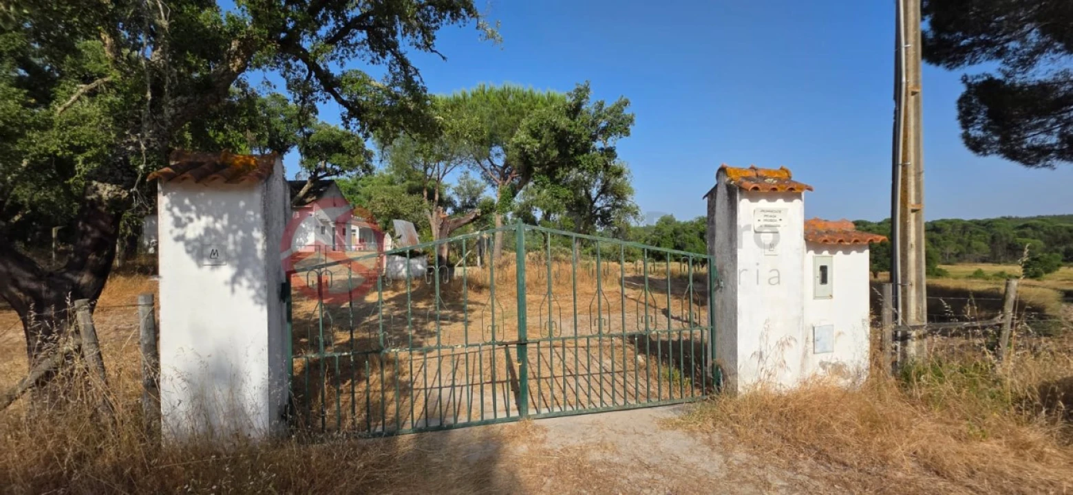 Quinta para Venda em Cabrela Foto 7