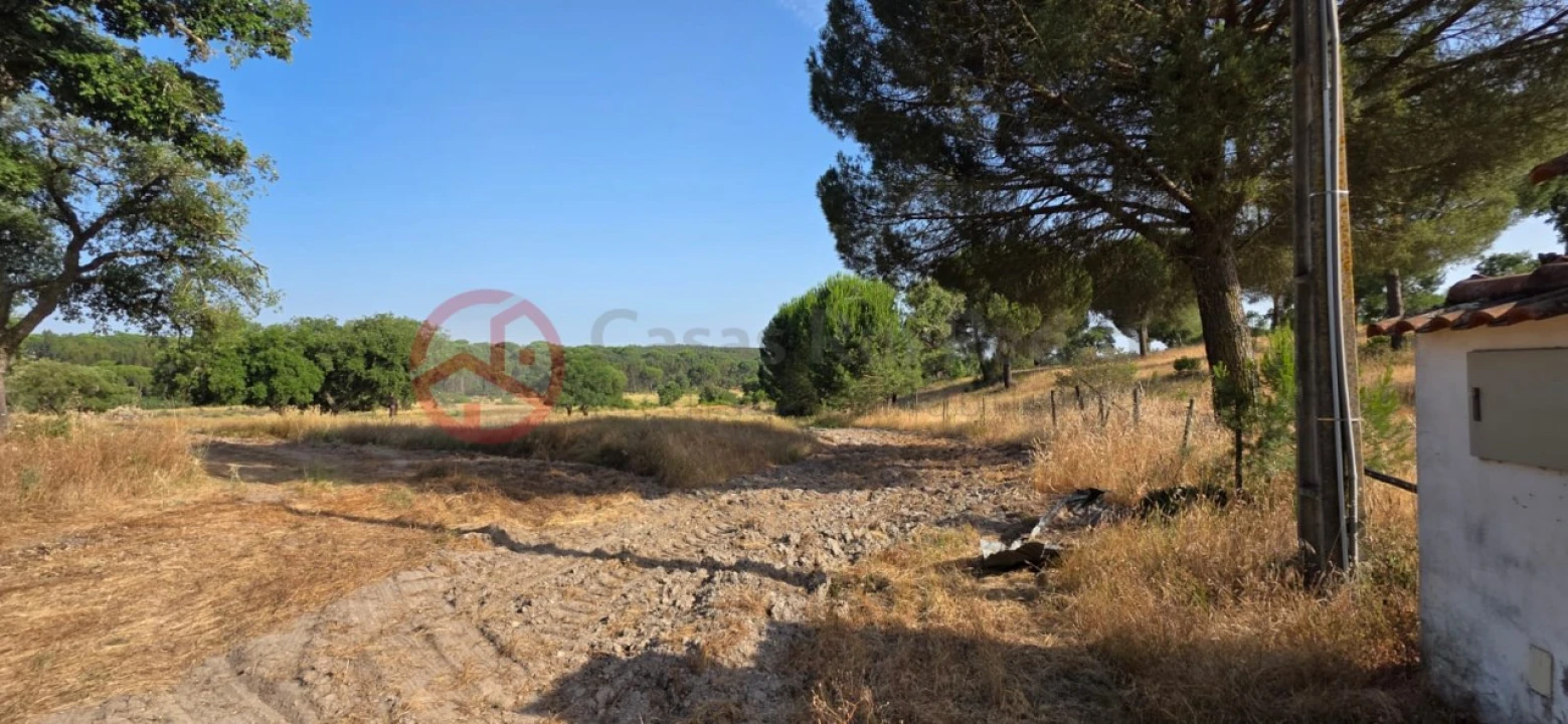 Quinta para Venda em Cabrela Foto 9