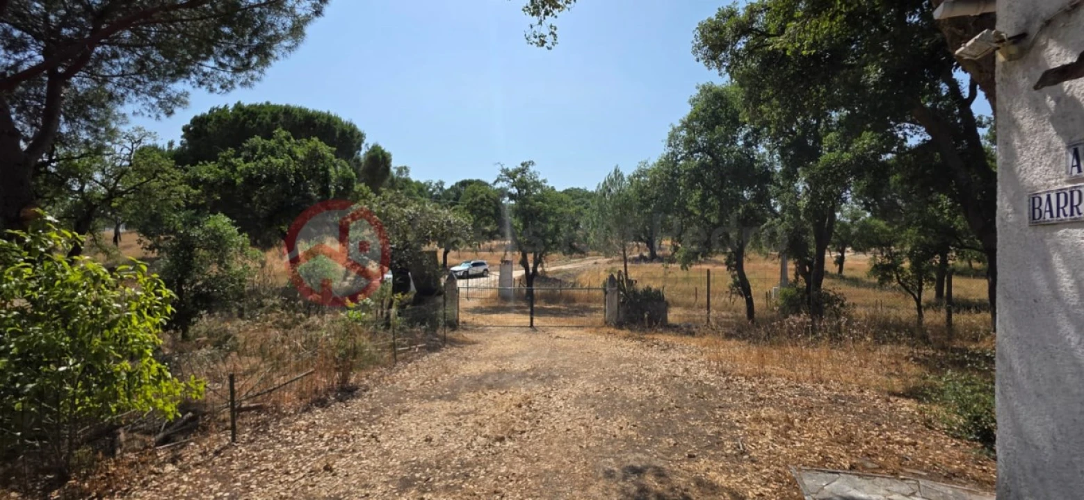 Quinta para Venda em Cabrela Foto 13