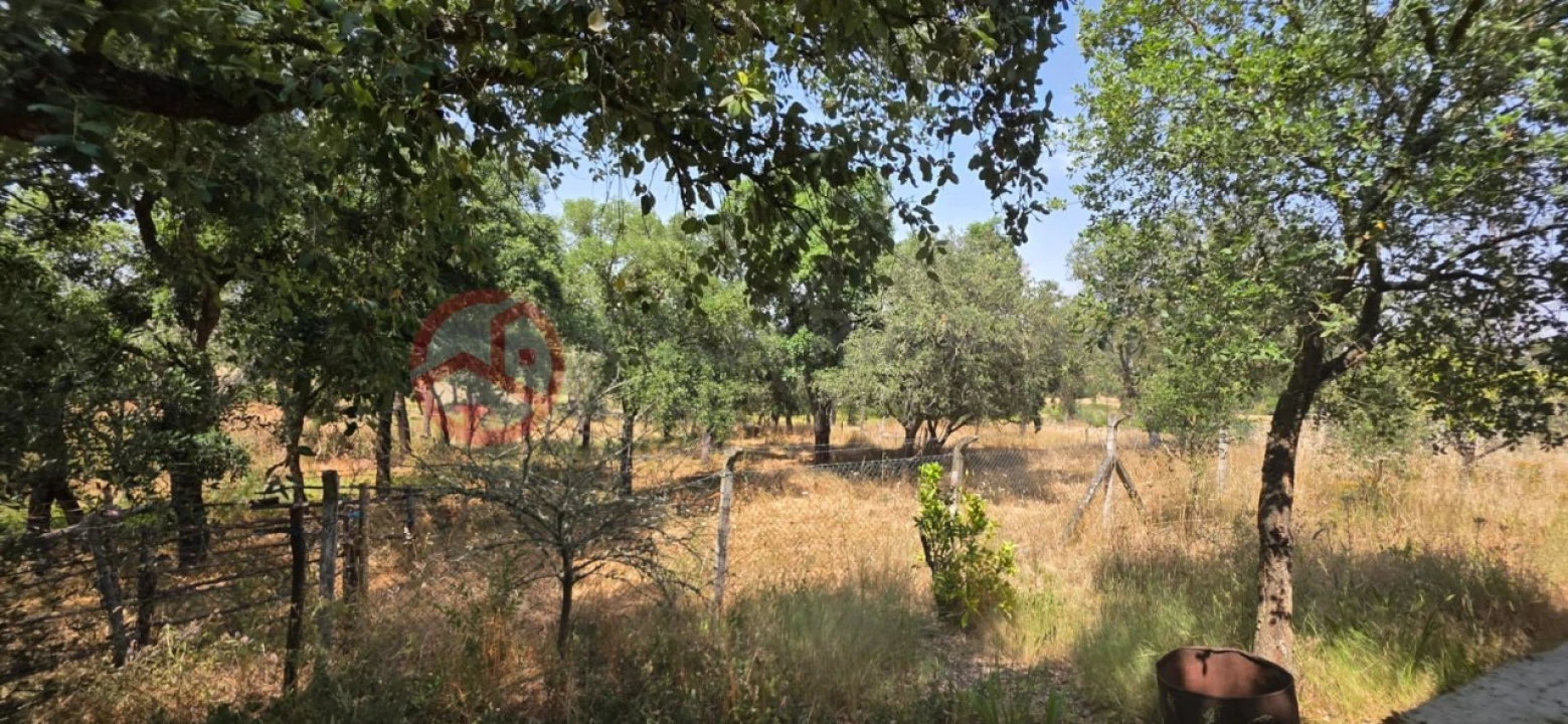 Quinta para Venda em Cabrela Foto 17