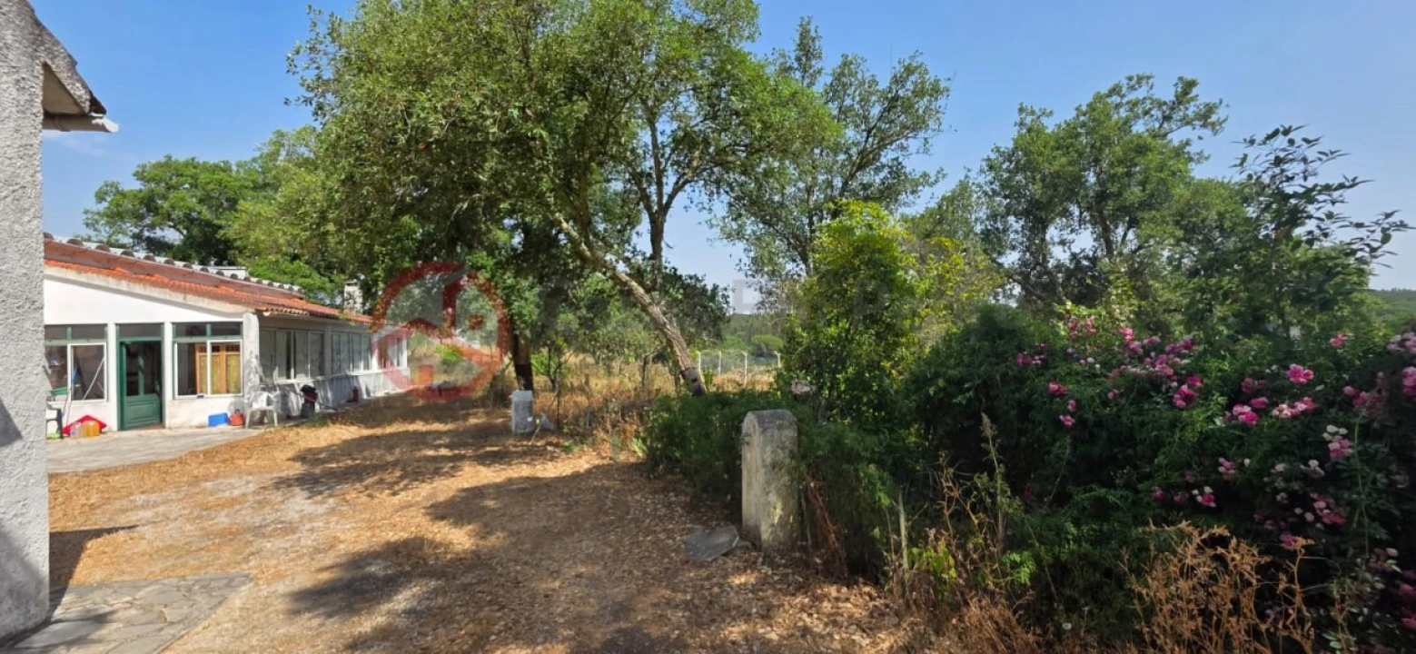 Quinta para Venda em Cabrela Foto 18