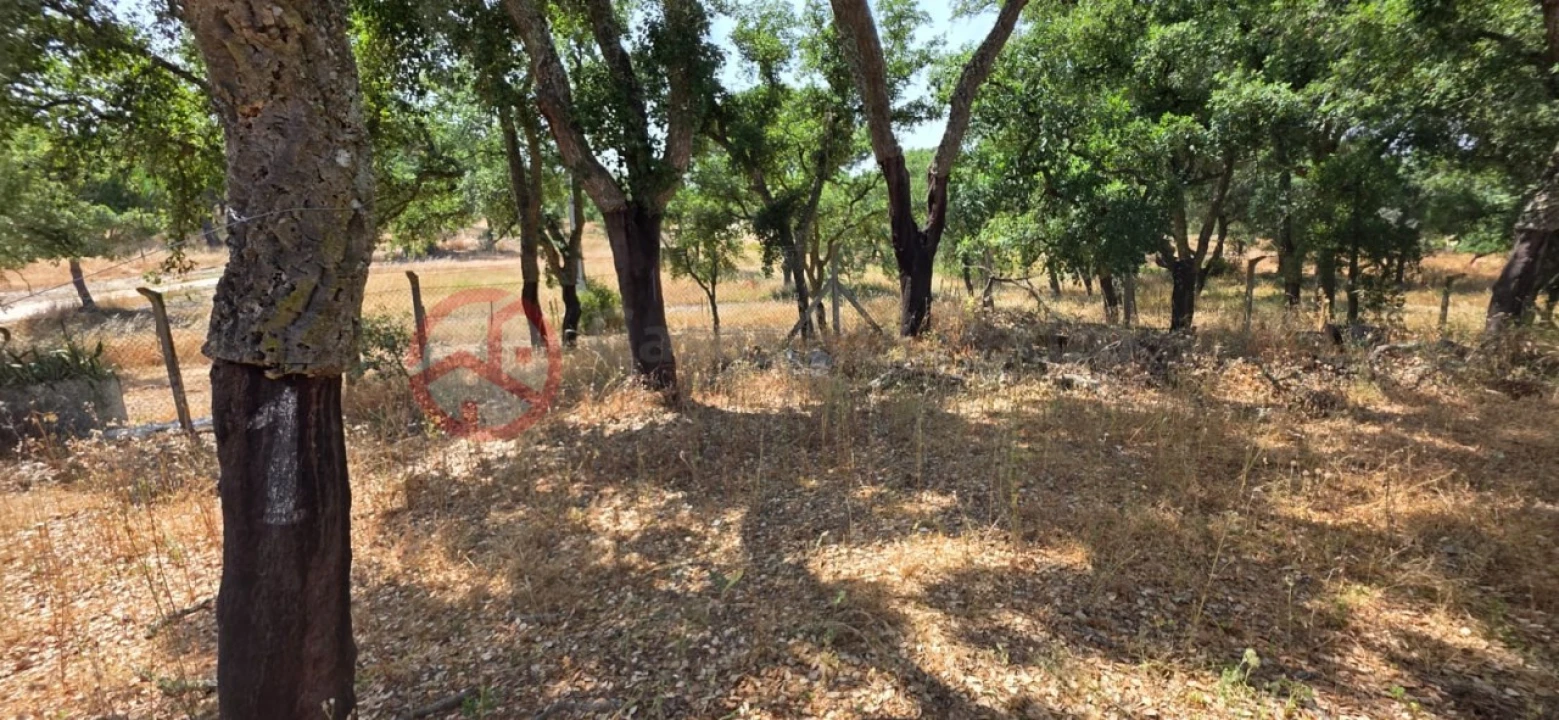 Quinta para Venda em Cabrela Foto 21