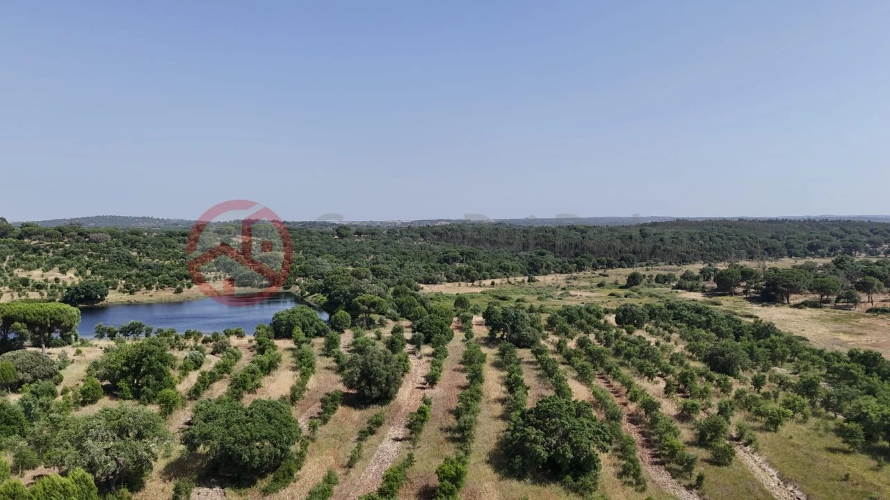 Quinta para Venda em Cabrela Foto 1