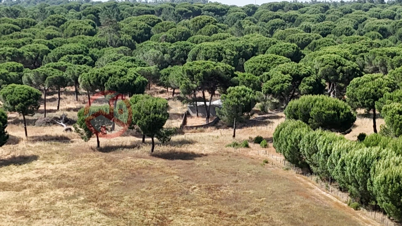 Quinta para Venda em Cabrela Foto 47