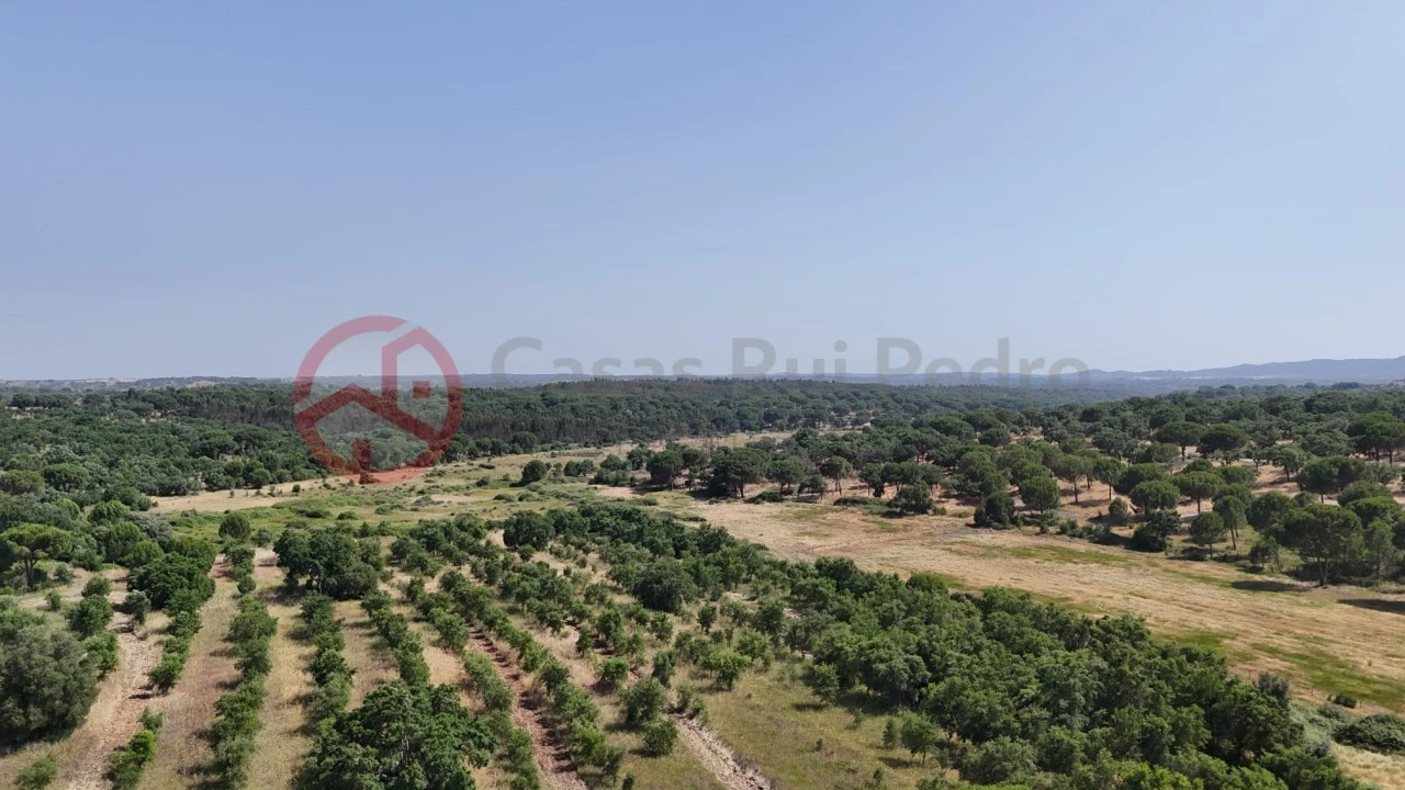 Quinta para Venda em Cabrela Foto 53