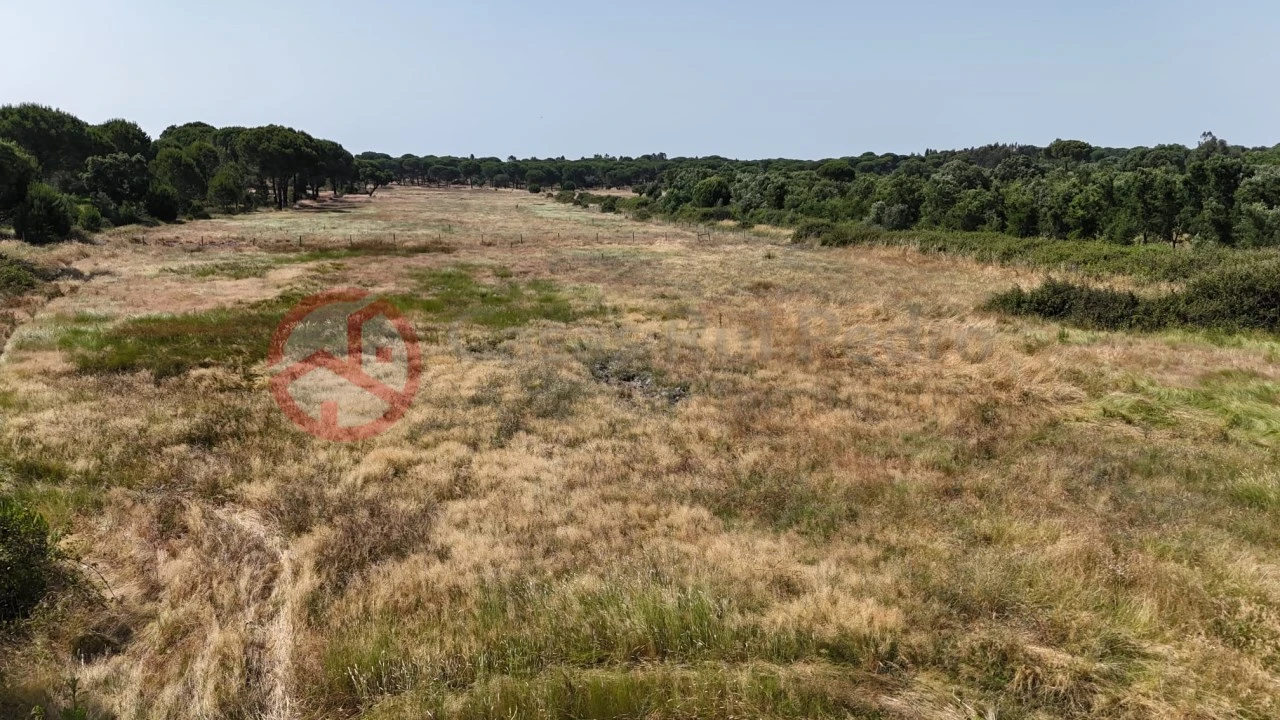 Quinta para Venda em Cabrela Foto 56