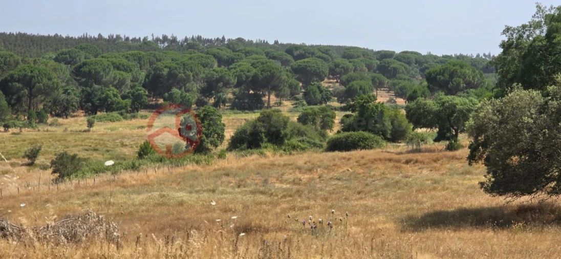 Quinta para Venda em Cabrela Foto 2