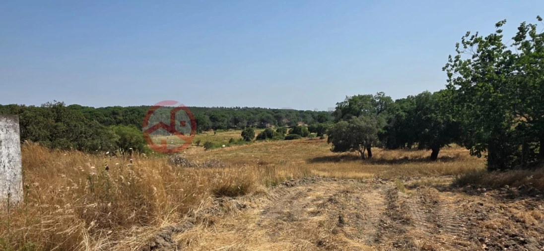 Quinta para Venda em Cabrela Foto 3