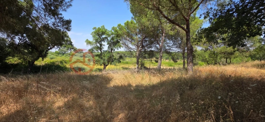 Quinta para Venda em Cabrela Foto 4