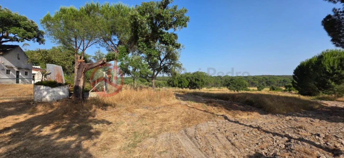 Quinta para Venda em Cabrela Foto 8