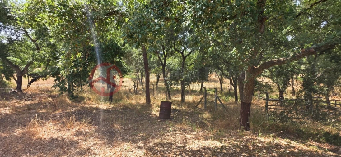 Quinta para Venda em Cabrela Foto 10