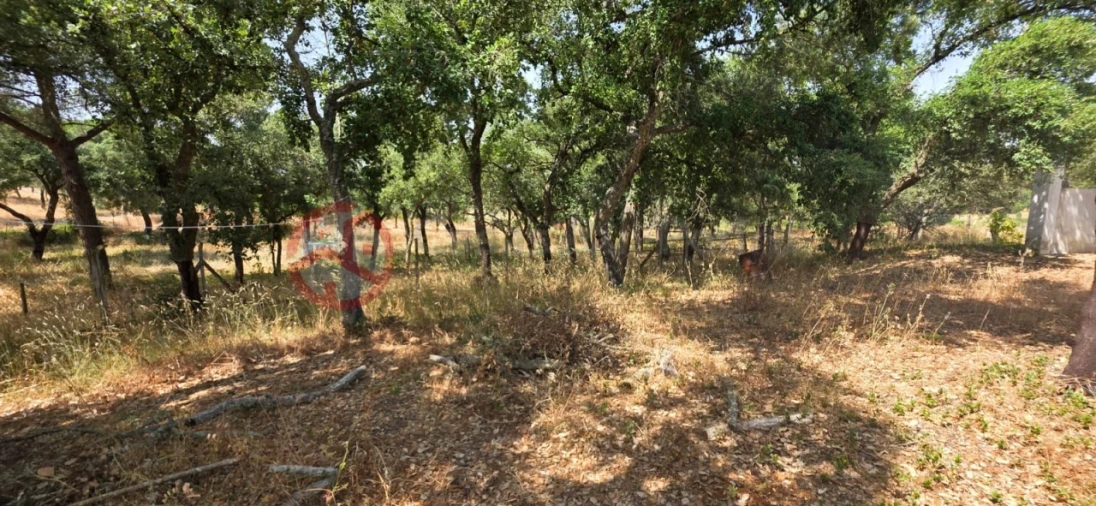 Quinta para Venda em Cabrela Foto 12