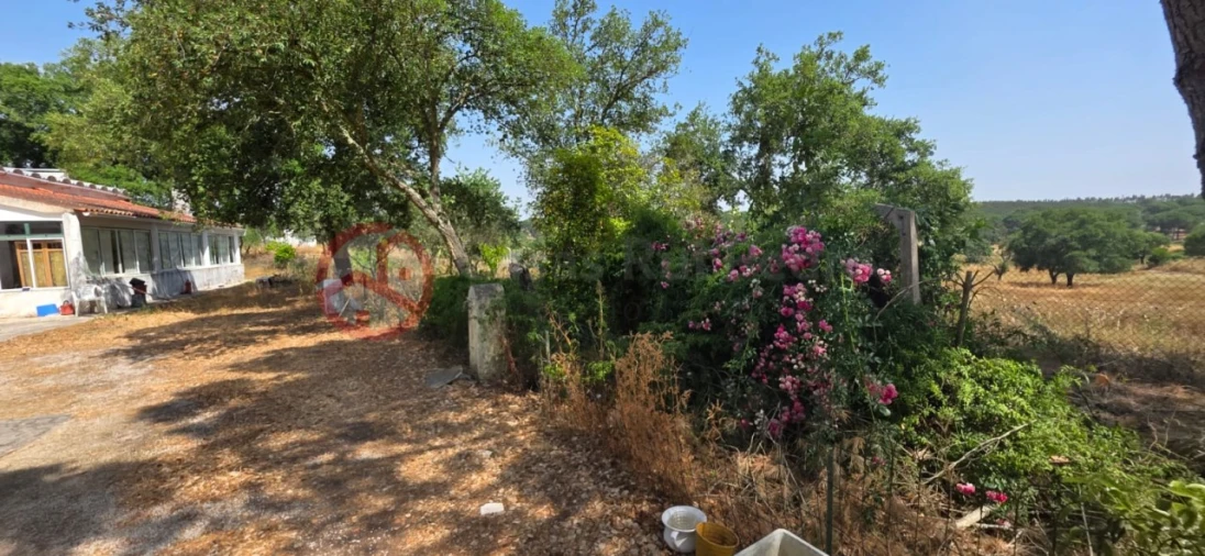 Quinta para Venda em Cabrela Foto 19