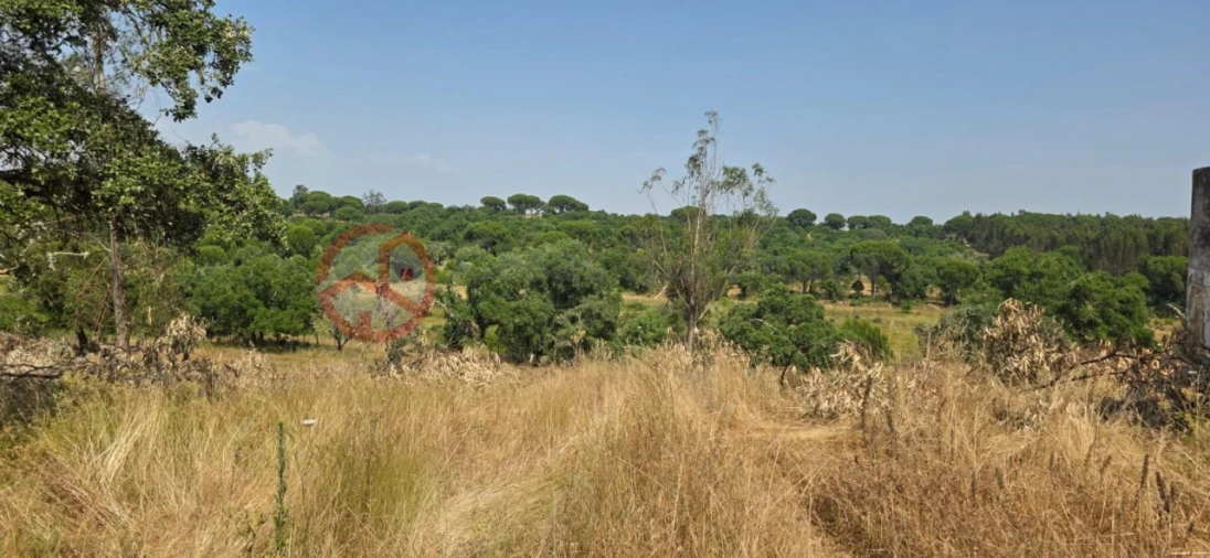 Quinta para Venda em Cabrela Foto 25