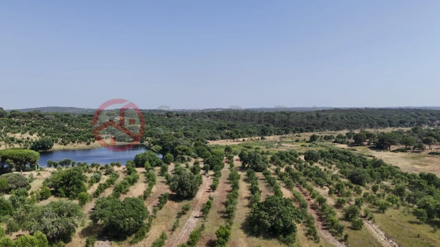 Quinta para Venda em Cabrela Foto 1