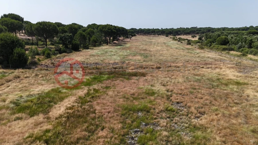 Quinta para Venda em Cabrela Foto 48