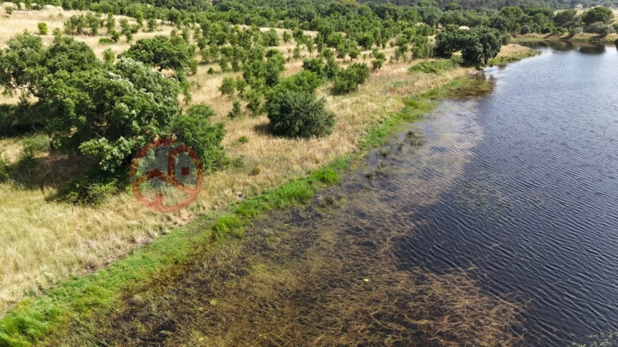Quinta para Venda em Cabrela Foto 49