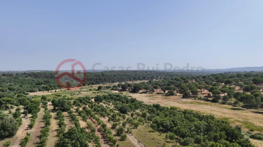 Quinta para Venda em Cabrela Foto 53